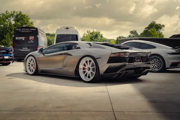 Dolly Kasino Apl Android/iOS